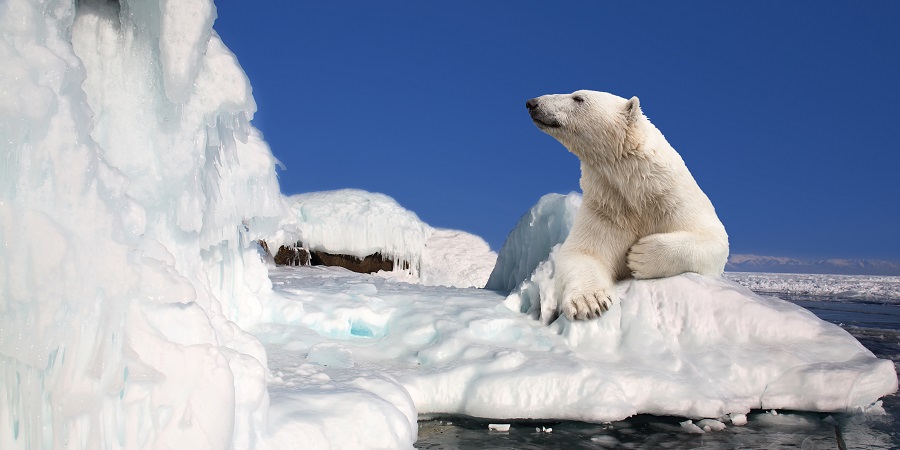 Безопасность в арктических условиях: риски, выживание и предотвращение чрезвычайных ситуаций - 2
