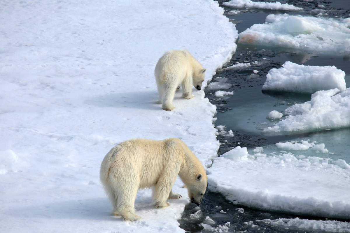 Экспедиция в неизведанное: истории полярных парусных путешествий - 3